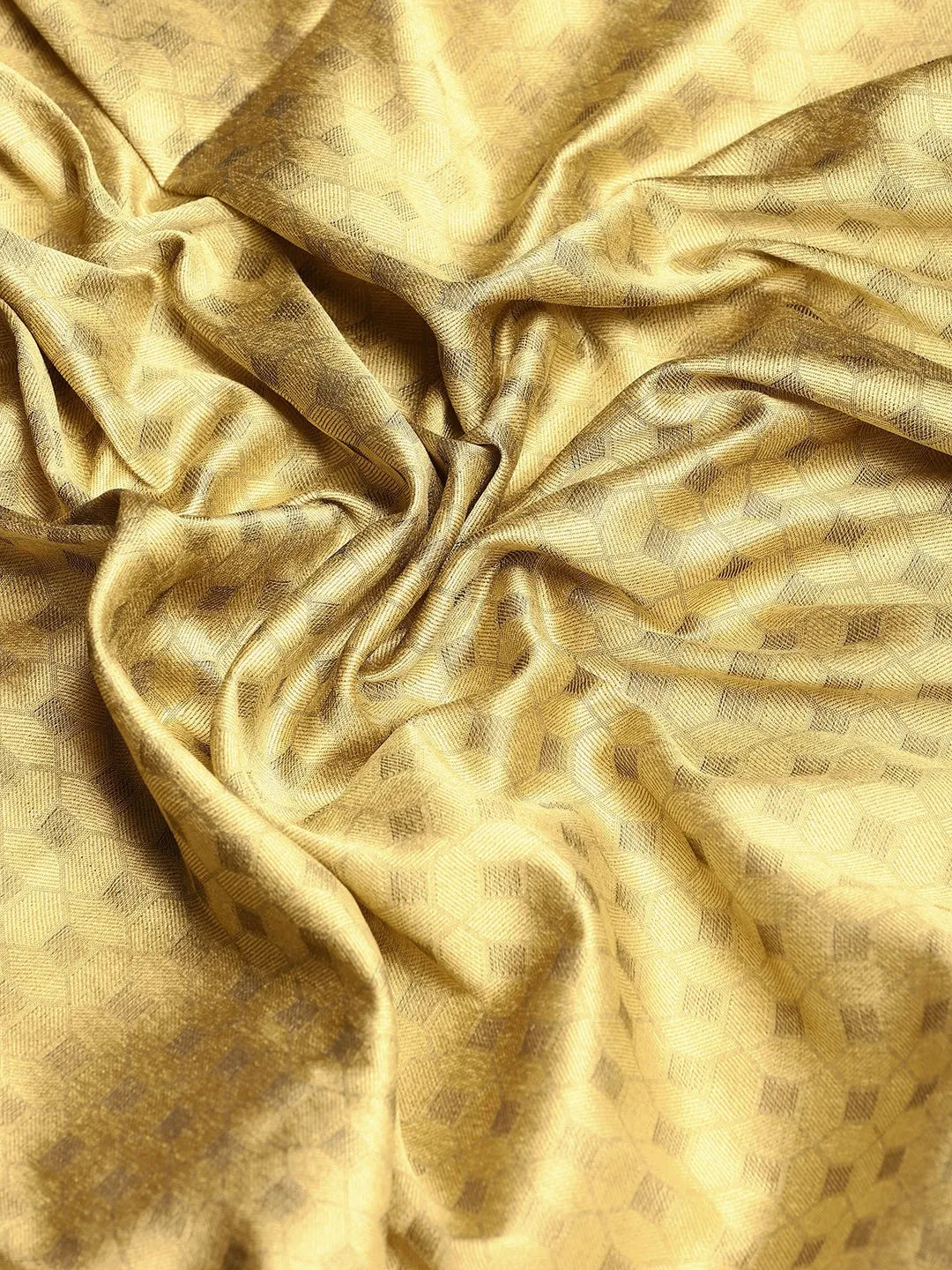 Chiku Beige Banarasi Silk Saree with Maroon Leaf Woven Border & Rich Zari Pallu